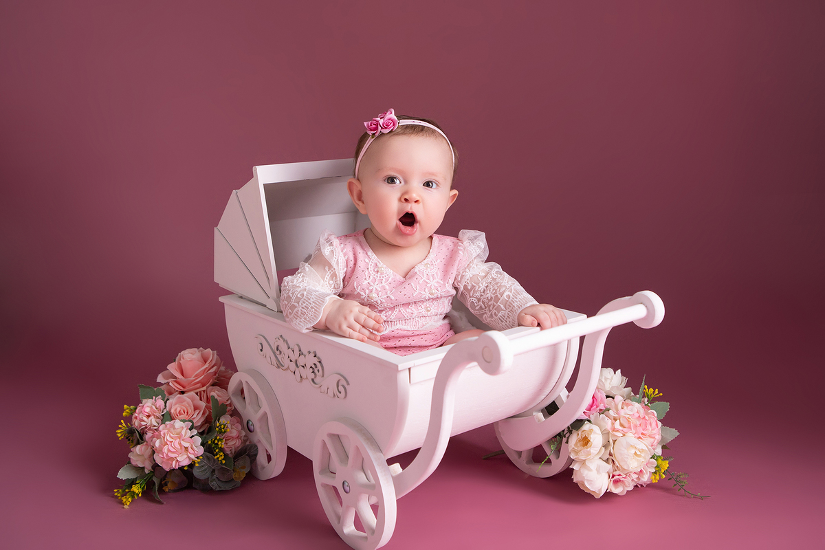 Acompanhamento do bebê - 6 Meses