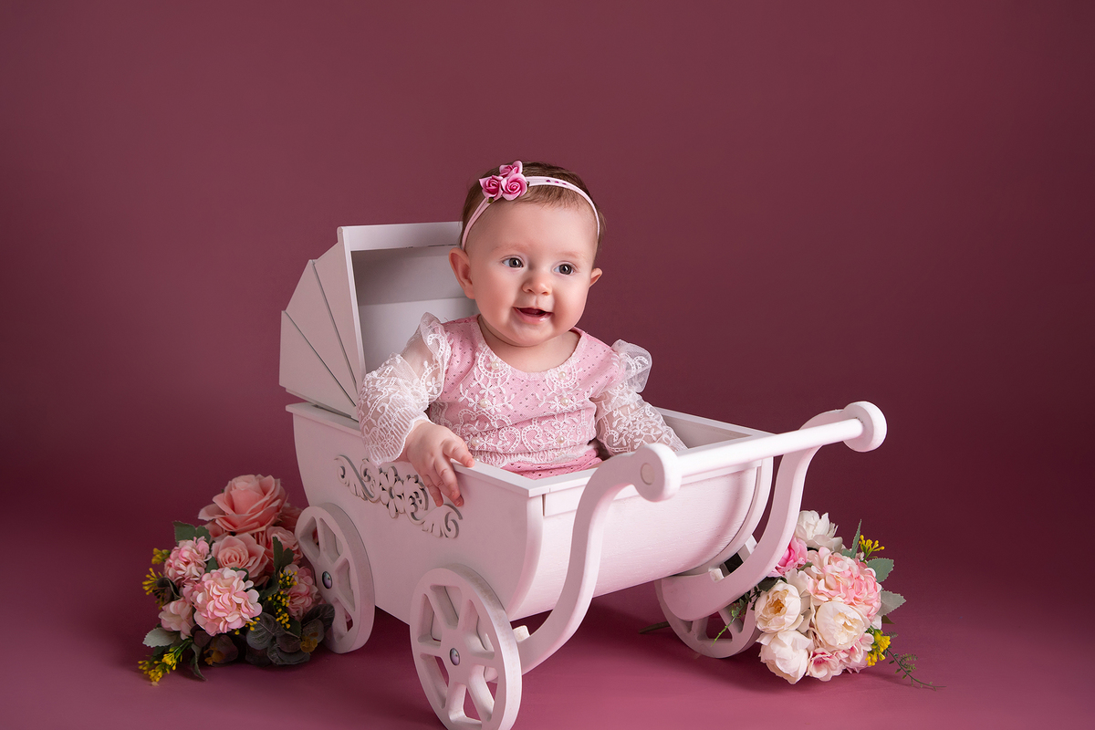 Acompanhamento do bebê - 6 Meses