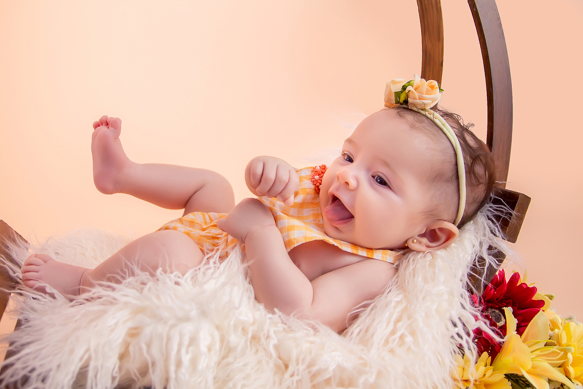 Acompanhamento Trimestral do Bebê - Porto Alegre