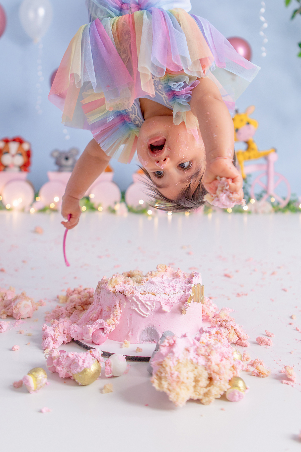 Smash The Cake - Bichinhos - Porto Alegre