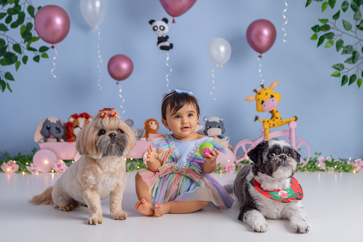 Smash The Cake - Bichinhos - Porto Alegre