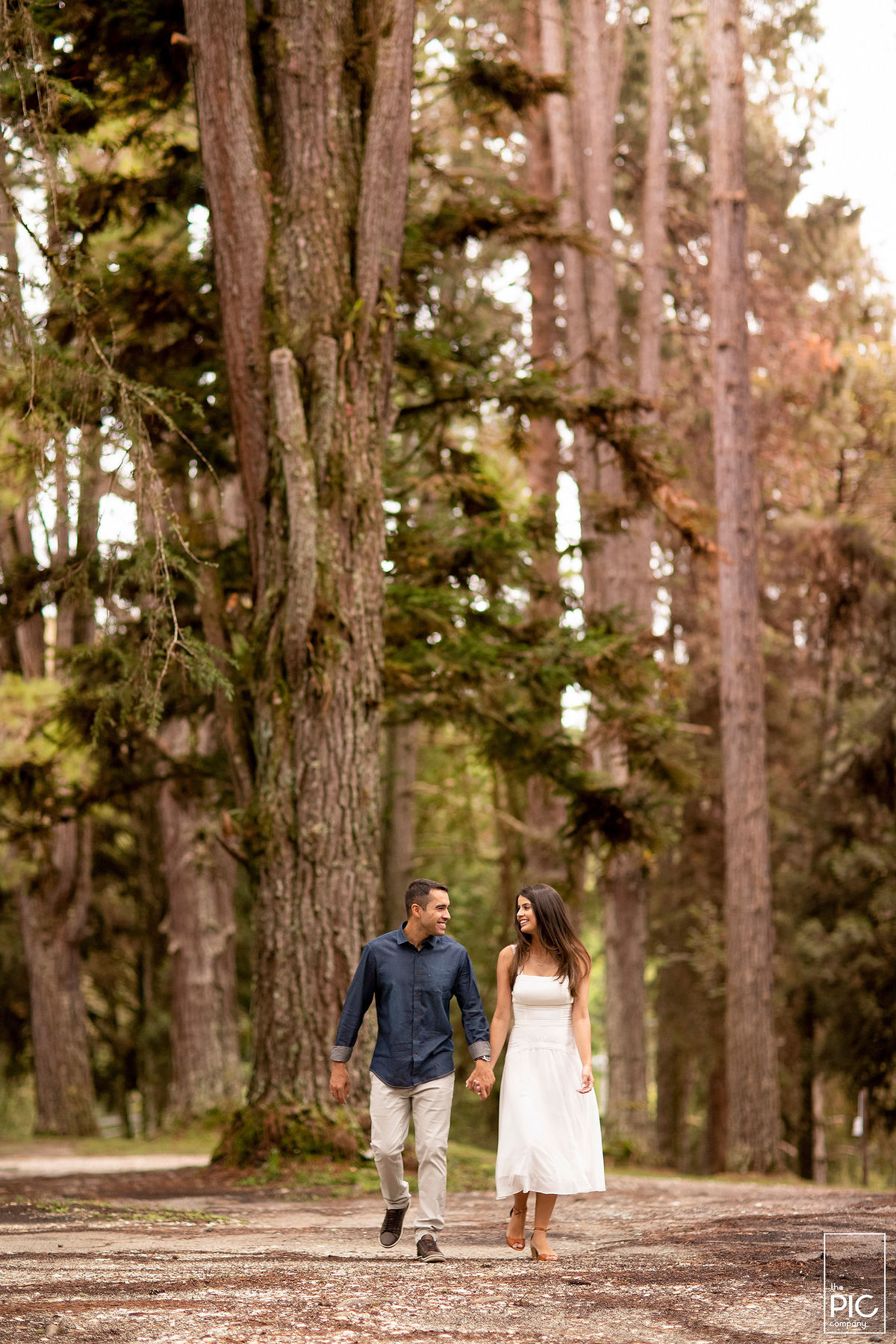 Ensaio em Campos do Jordão