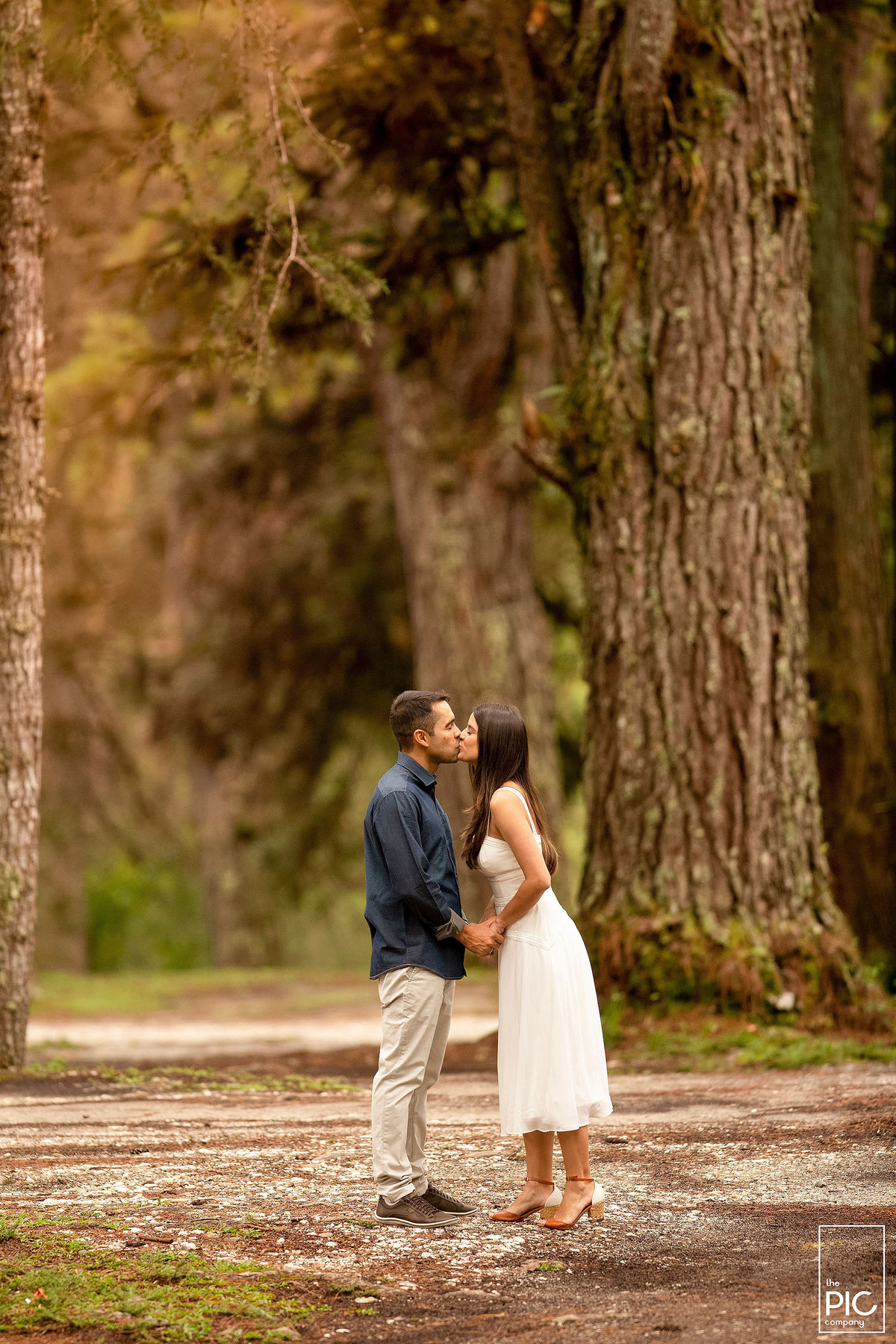 Ensaio em Campos do Jordão