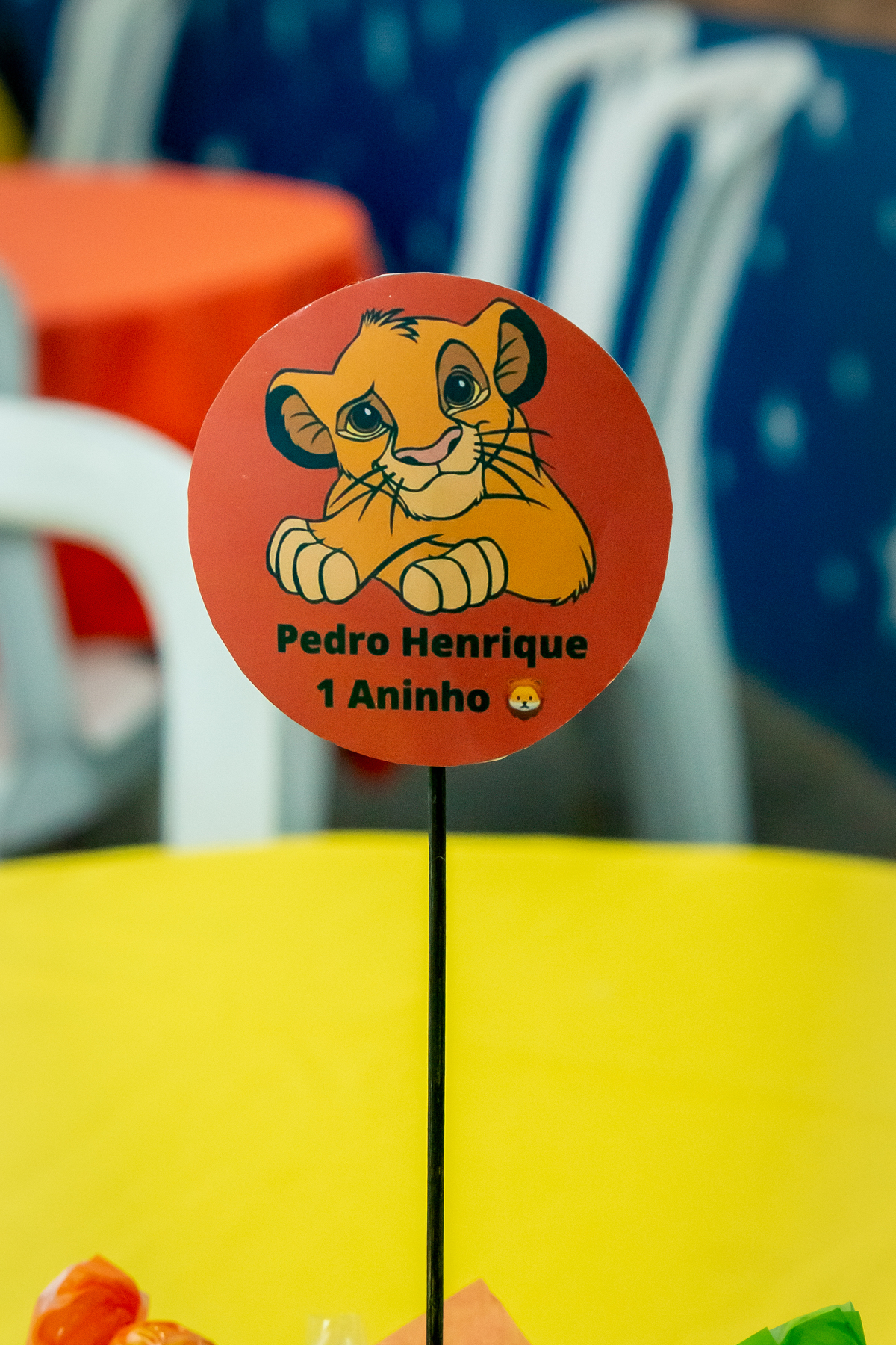 Pedro Henrique fez 1 ano - Sorocaba SP