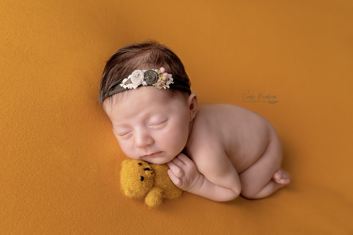 recém-nascida-pose-de-bundinha-com-ursinho-frontal