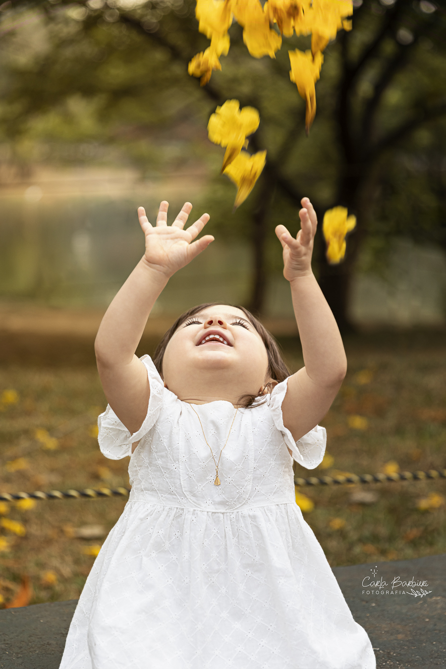 chuva_de_flores_amarelas_sobre_a_Belela_no_Parque_do_Ibirapuera
