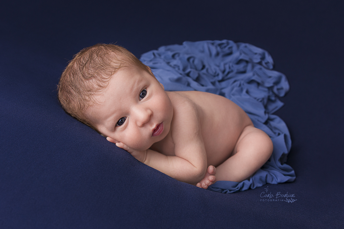 newborn pedro na pose do coala