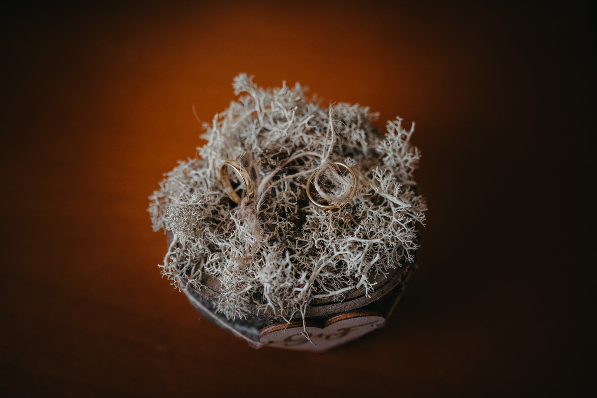 Casamento, casamento de sonho, quinta santo andré, fotografia de casamento, fotógrafo de casamento, noiva, music beats, principessa noivas, fotos de casamento, casamento de luxo, noiva, amor, wedding, marriage, fotografias naturais de casamento