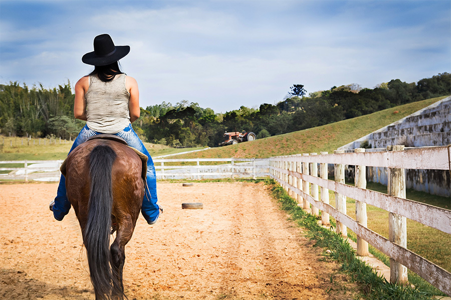 Dando uma volta de cavalo
