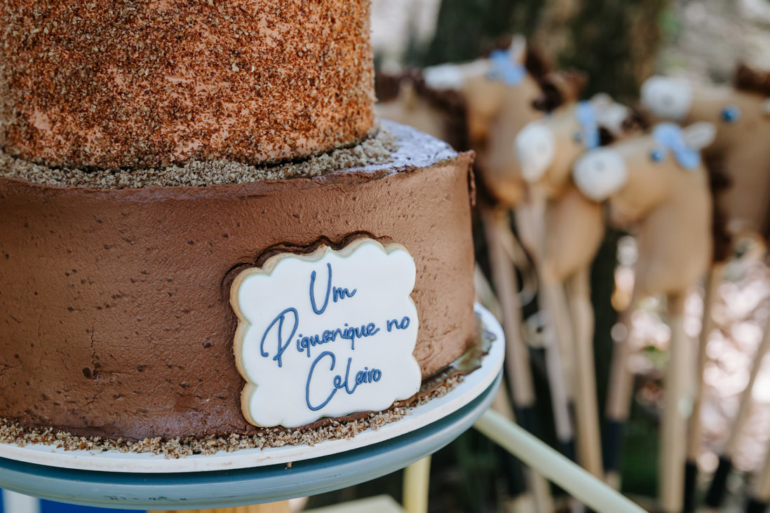 detalhe da placa de biscoito decorado coloda em bolo de aniversario infantil no rj
