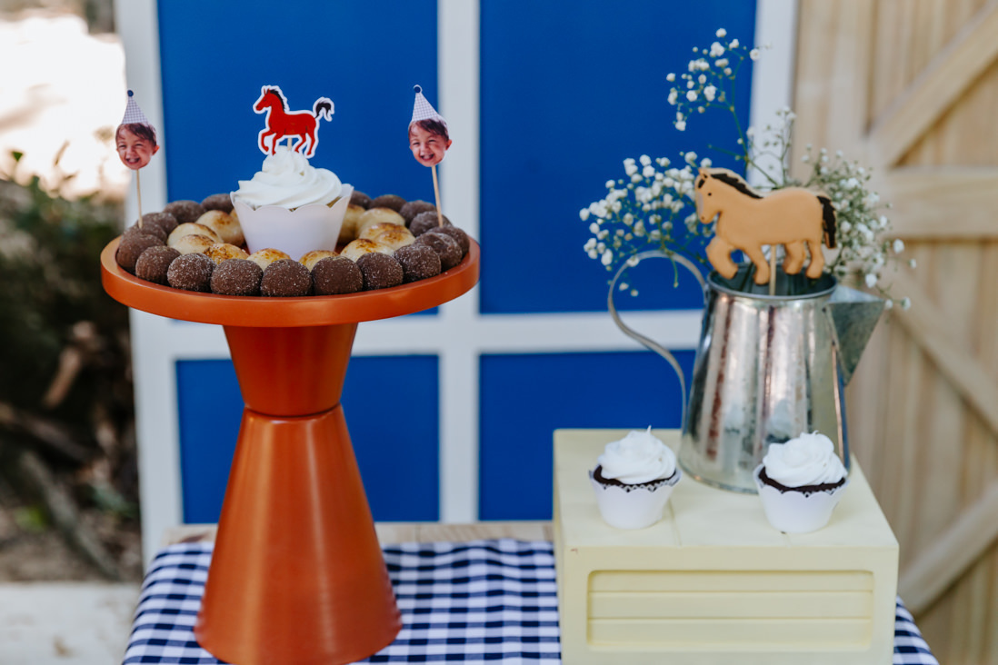 decoração de mesa de bolo de festa infantil com tema piquenique no celeiro