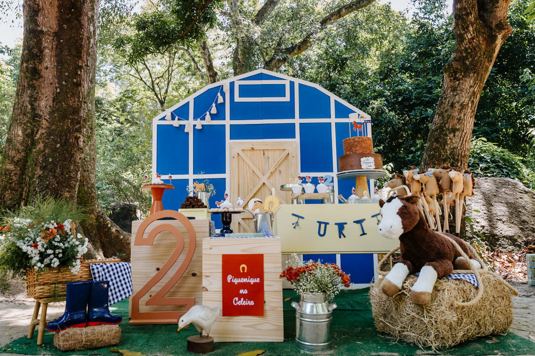 mesa decorada de piquenique no celeiro festa de 2 anos no parque estadual do grajaú