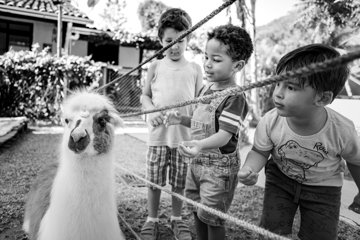 fotografia de tres meninos encatandos com a lhama na festa infantil
