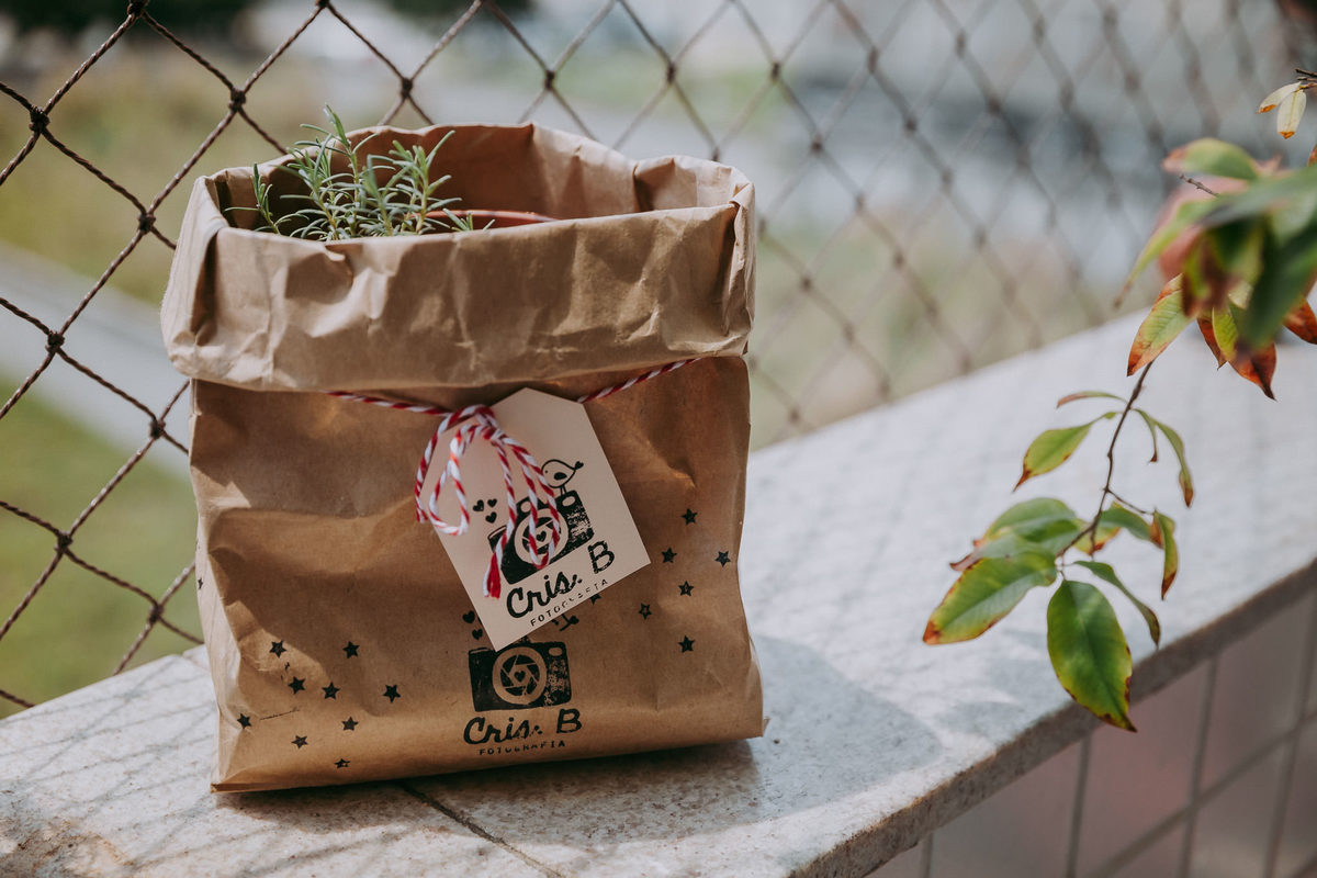 muda de alecrim oferecida como presente da crisb fotografia