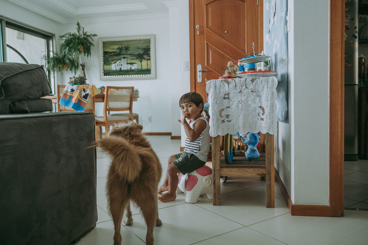 foto documental de menino de dois anos sentado num cofre de porquinho e um cachorro passando no momento da foto