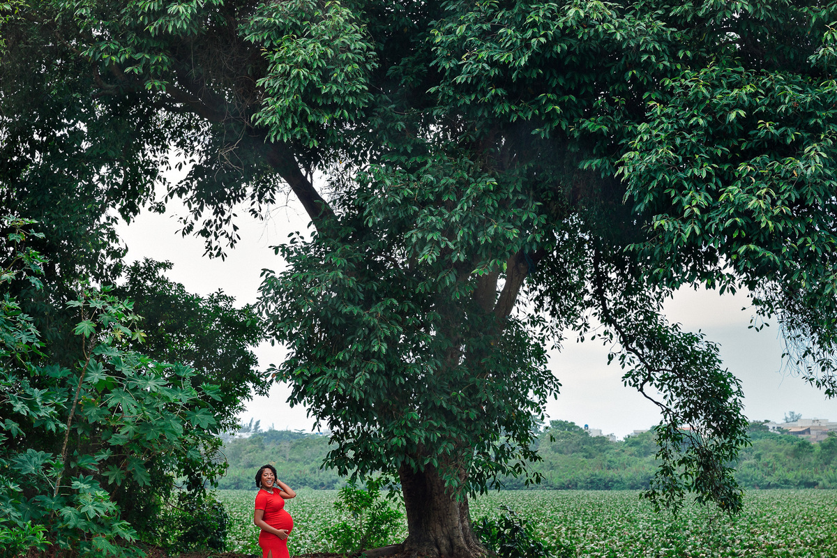 foto minimalista de gestante de vestido vermelho ao lado de arvore imensa no parque chico mendes rj