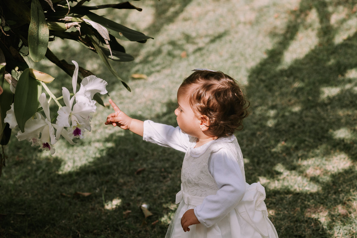 criança toca em orquidea presa em arvore
