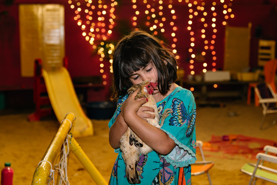 menian beija galinha