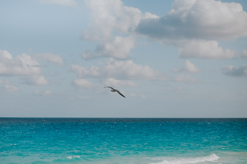cancun wedding phtotographer