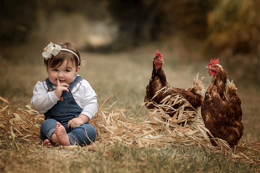 Niña con jardinero de jean y gallinas en el granja al atardecer en el campo. Sesión de fotos en San José de la esquina. Barby Massei fotografía