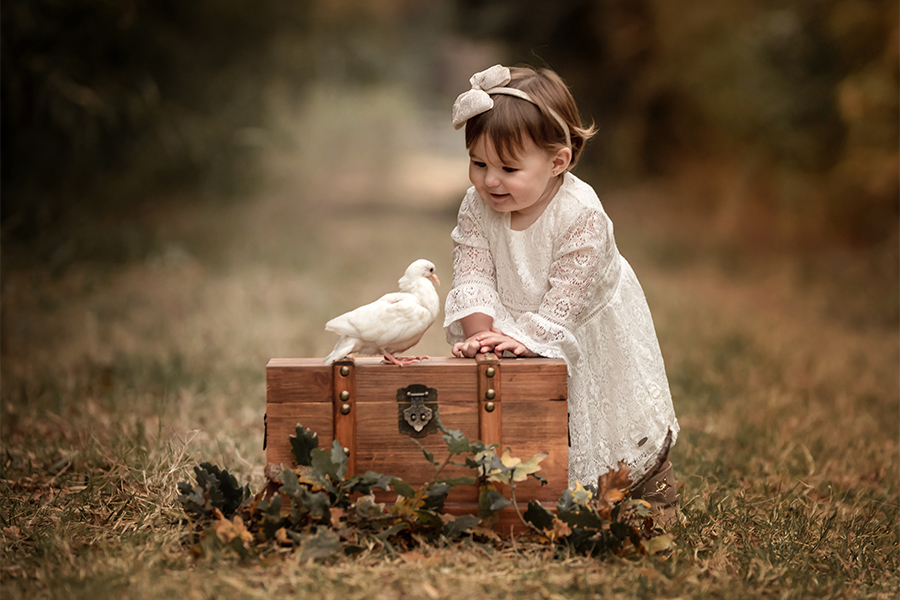 Baúl de madera y niña de 1 año en su book de fotos en la granja. Atardecer en el campo Barby Massei fotos.