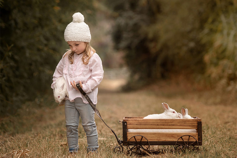 Niña y conejos paseando en la granja. Atardecer en sesión de fotos Barby Massei
