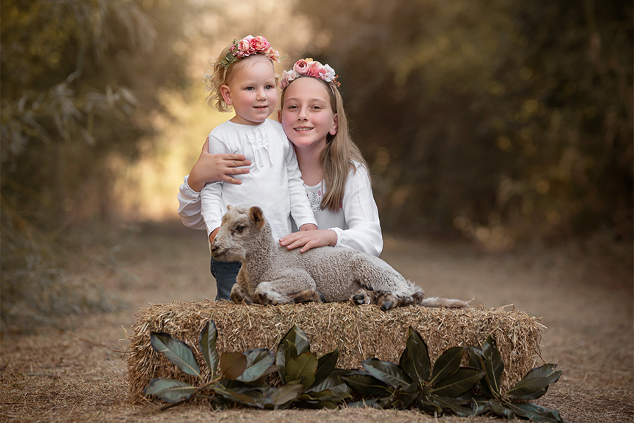 Corderito en el fardo junto a hermanitas en la tarde para el book de fotos. Barby Massei santa fe