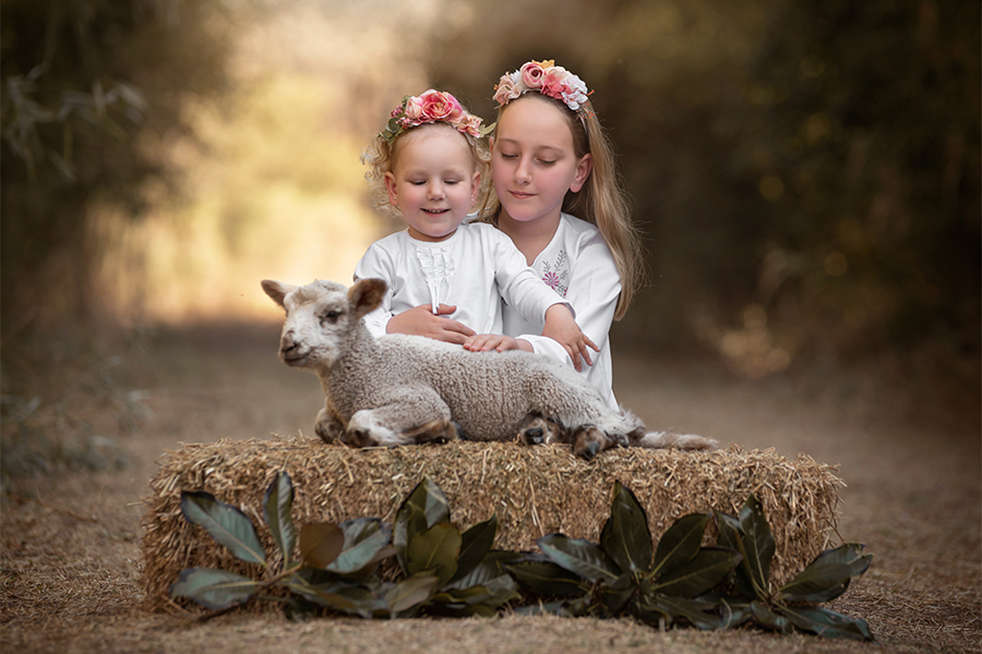 Niñas con vestido blanco y corderito en el campo. Atardecer de fotografías en Santa Fe. Barby Massei.