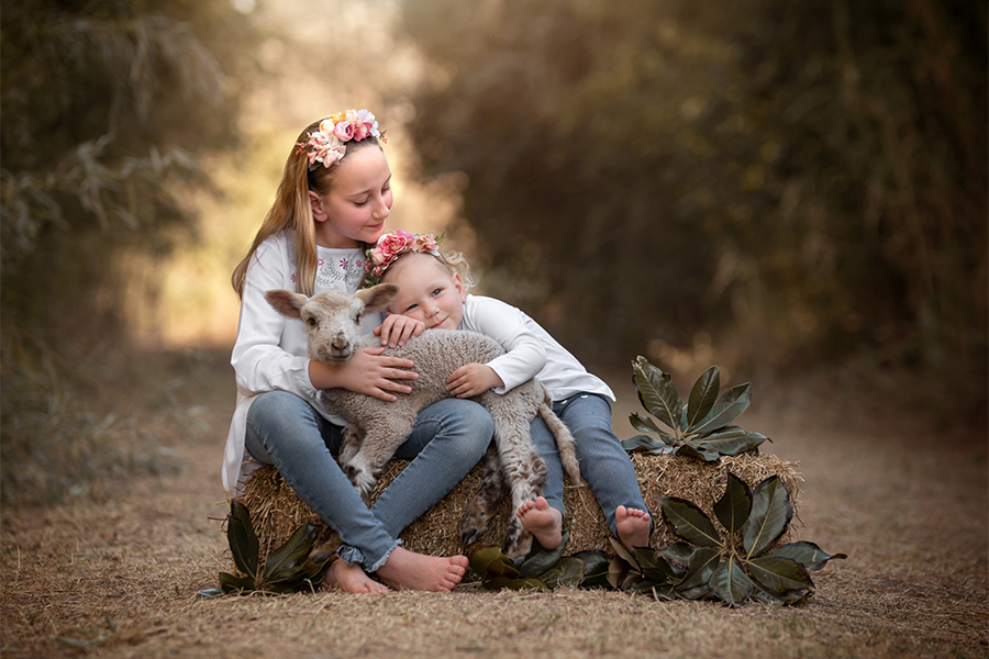 Niñas jugando con el cordero en el campo argentino. Barby Massei fotografía. Sesión de fotos al atardecer.