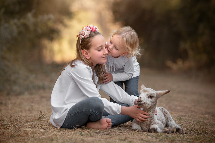 Corderito juega con las niñas en la tarde de campo en Santa Fe para el book. Barby Massei fotografía.