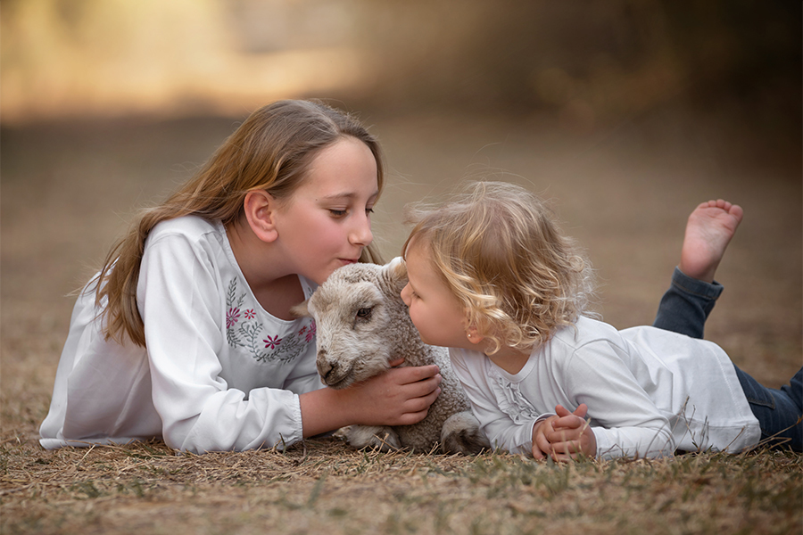 Hermanitas dando mimos al corderito en el campo en Santa Fe. Tarde de primavera para la sesión de fotos de Barby Massei.