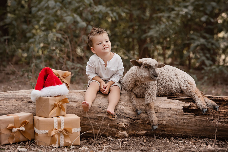 Sesión navidad, papá noel con niño en la naturaleza. Fiestas fin de año con corderito. Barby Massei fotografía Santa Fe