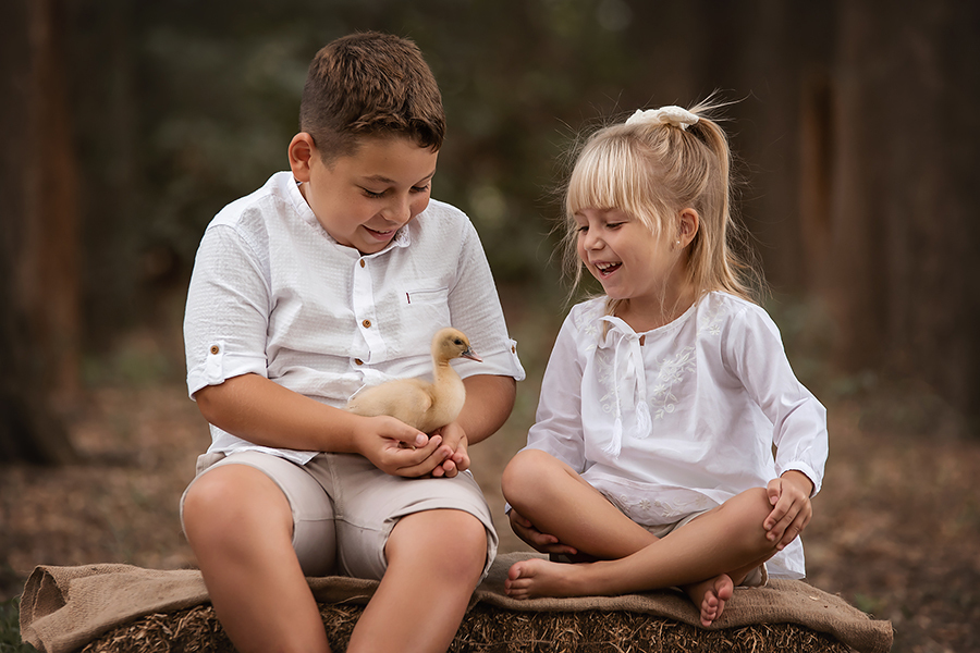 Niños en sesion de book en el campo. Atardecer en la sesión de fotos. Pollito y niños vestidos de blanco. Barby Massei fotografia