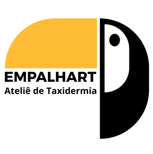 Logotipo de Breno Gravina