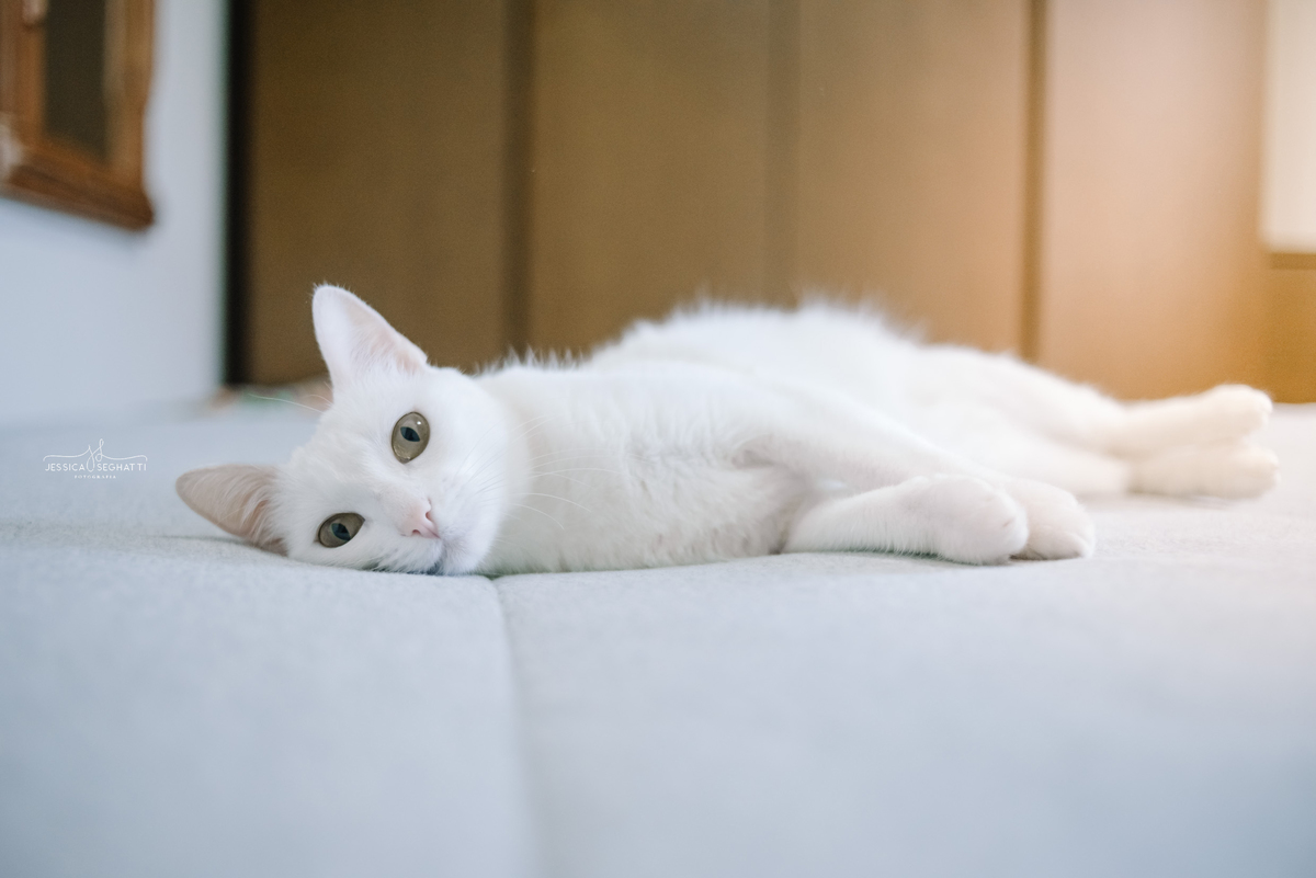 ensaio gestante juiz de fora | fotografajf