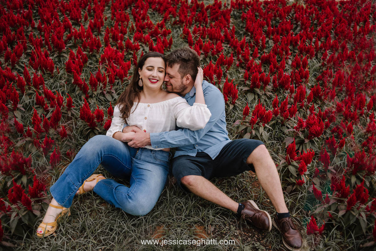 Save the Data | Holambra