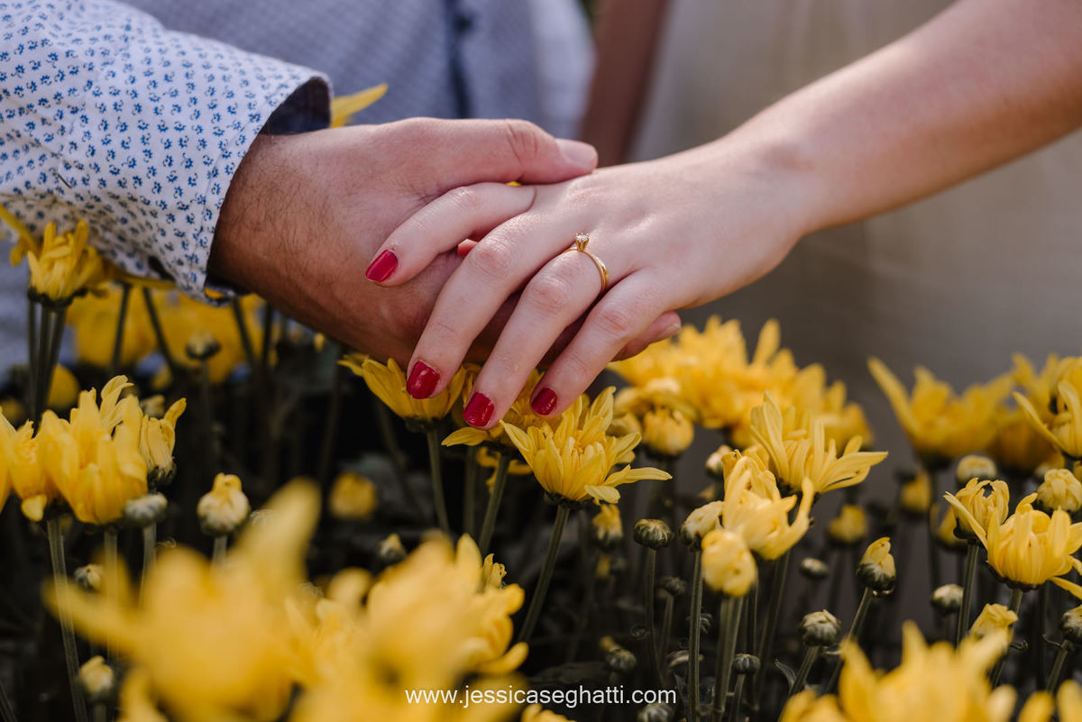 Save the Data | Holambra