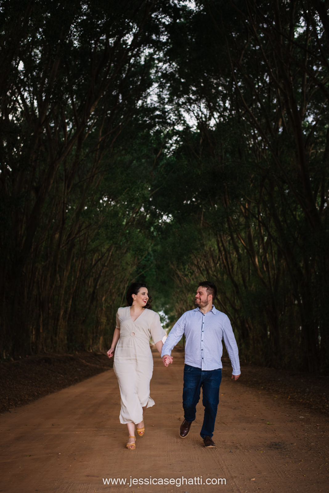 Save the Data | Holambra