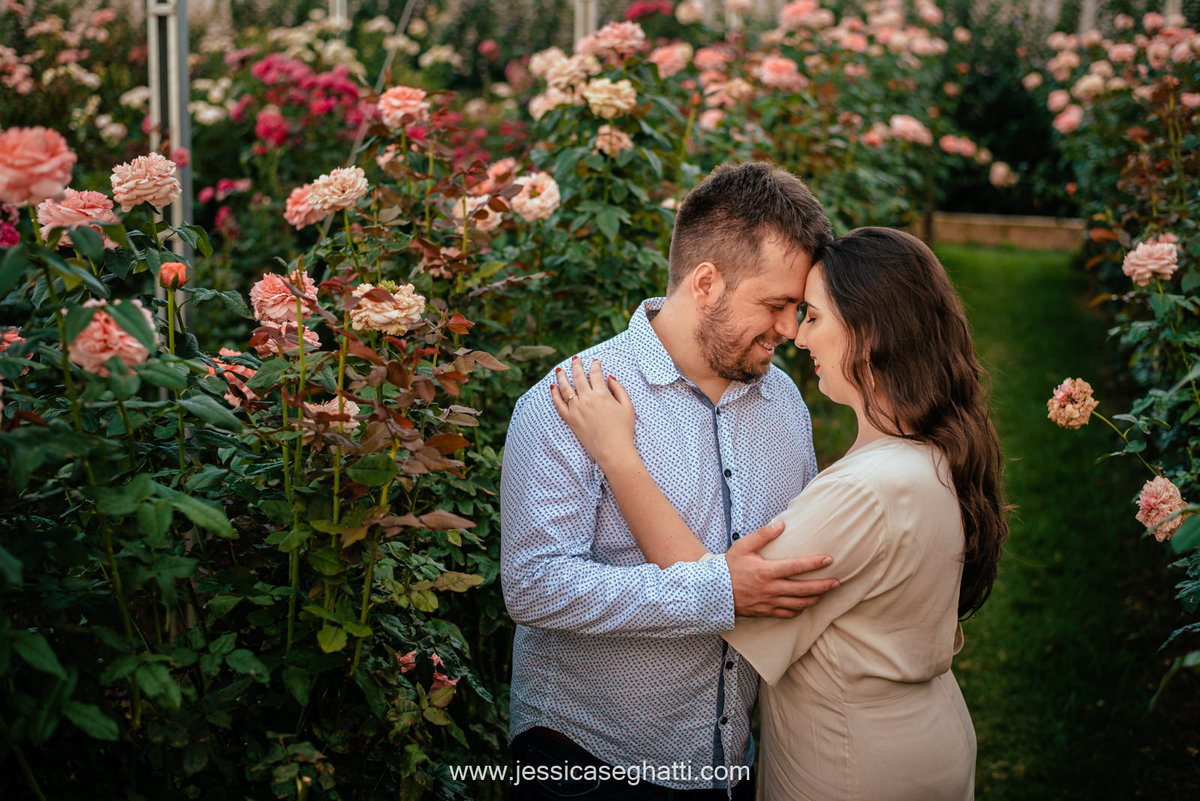 Save the Data | Holambra