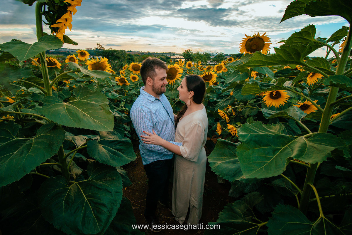 Save the Data | Holambra