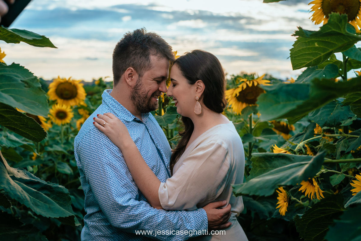 Save the Data | Holambra