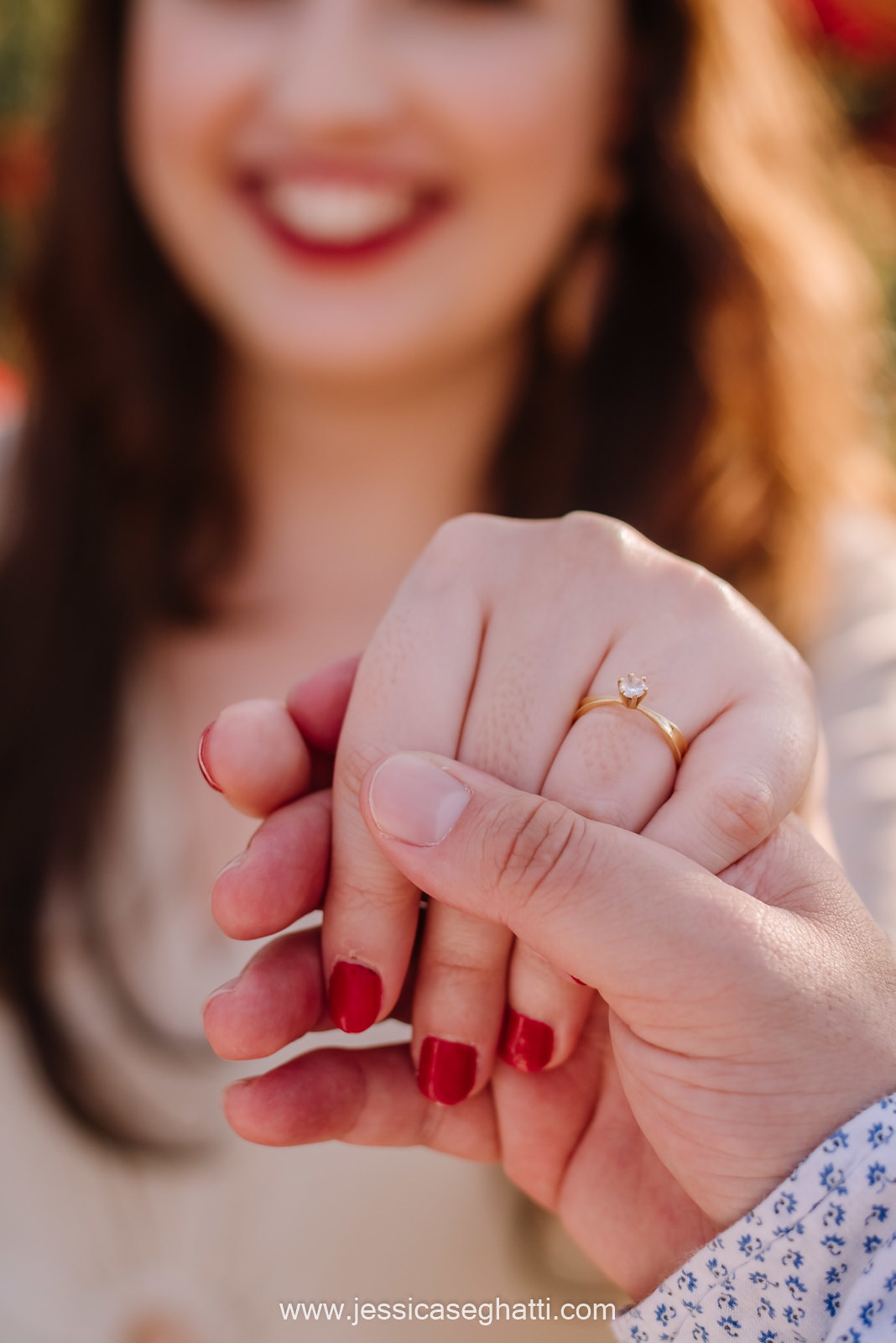 Save the Data | Holambra