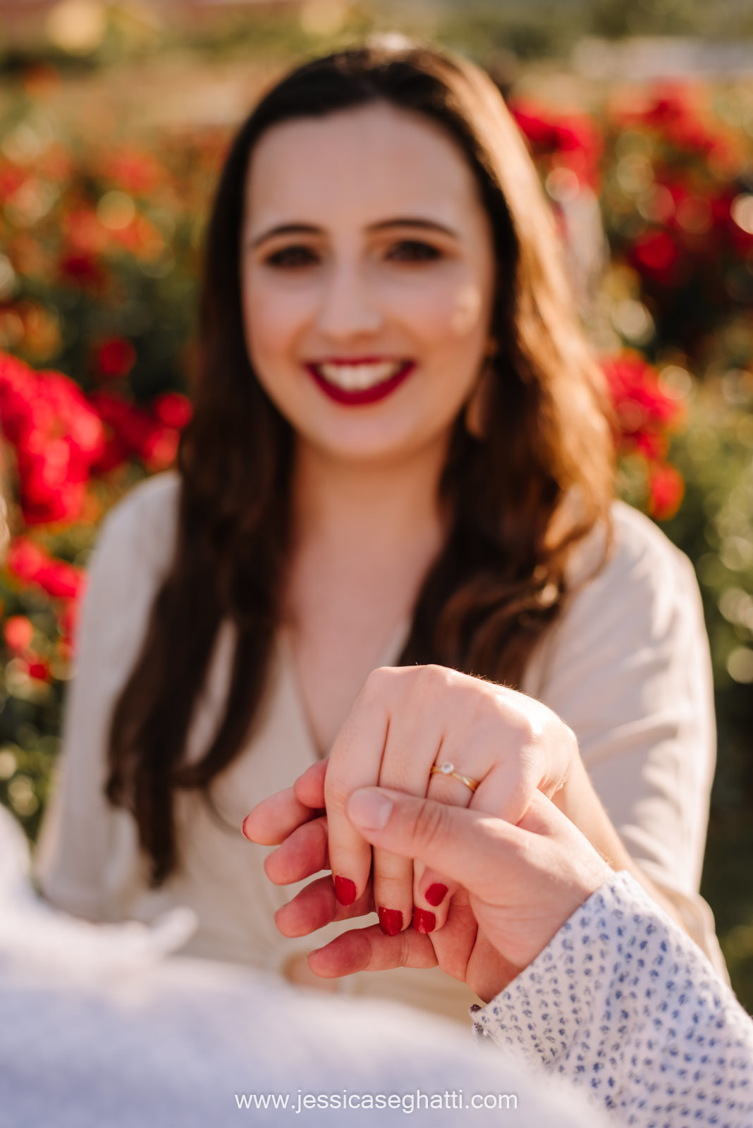 Save the Data | Holambra