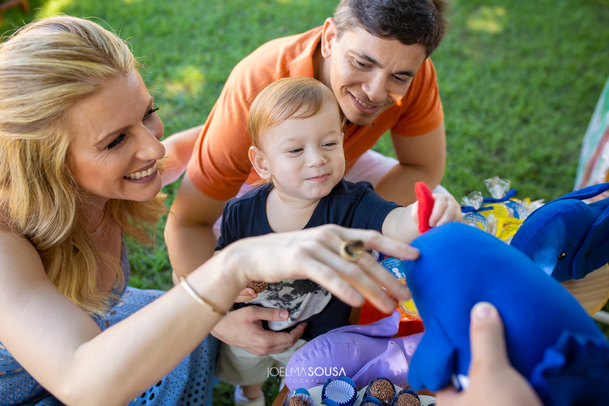 aniversario joao villa verde, festa infantil. festa decorada, por joelma sousa fotografias de festa infantil, fotos de familia