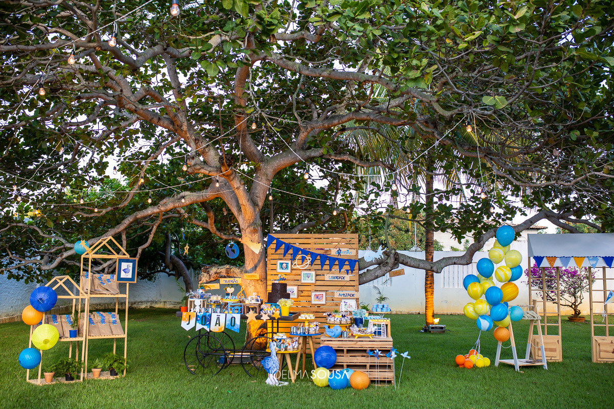 aniversario joao villa verde, festa infantil. festa decorada, por joelma sousa fotografias de festa infantil, fotos de familia