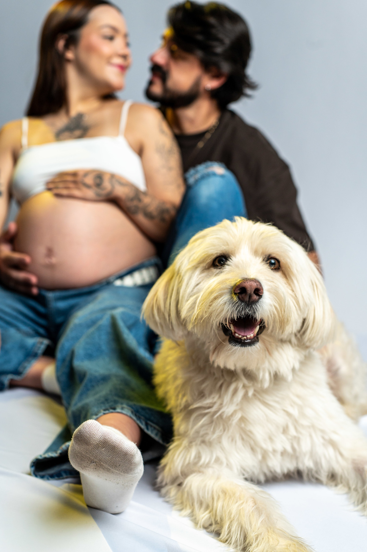 Cachorro em primeiro plano com casal gestante ao fundo desfocado, ensaio criativo com pet, uso de profundidade de campo e linguagem moderna.