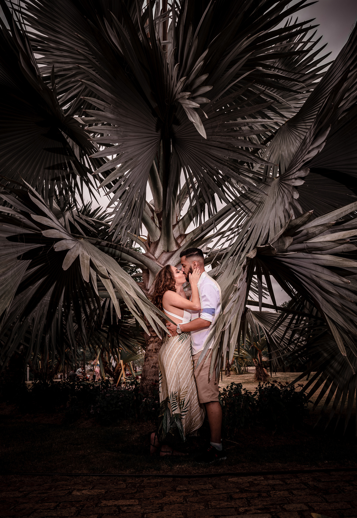 ensaio-de-casal-jardim-botanico-jundiai-fotografia-de-casal-fotografo-danilo-farias