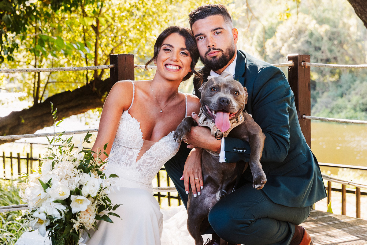 noivos com animal de estimação