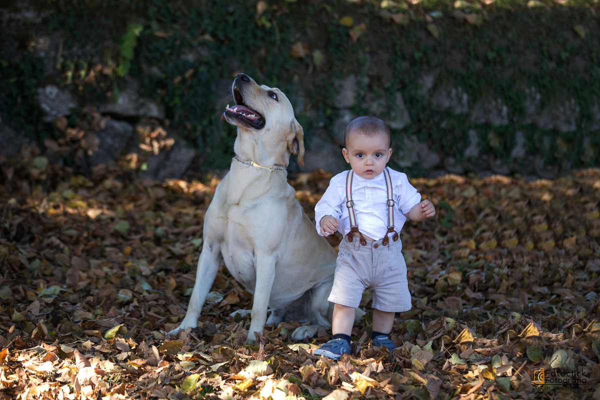sessão fotográfica animais
