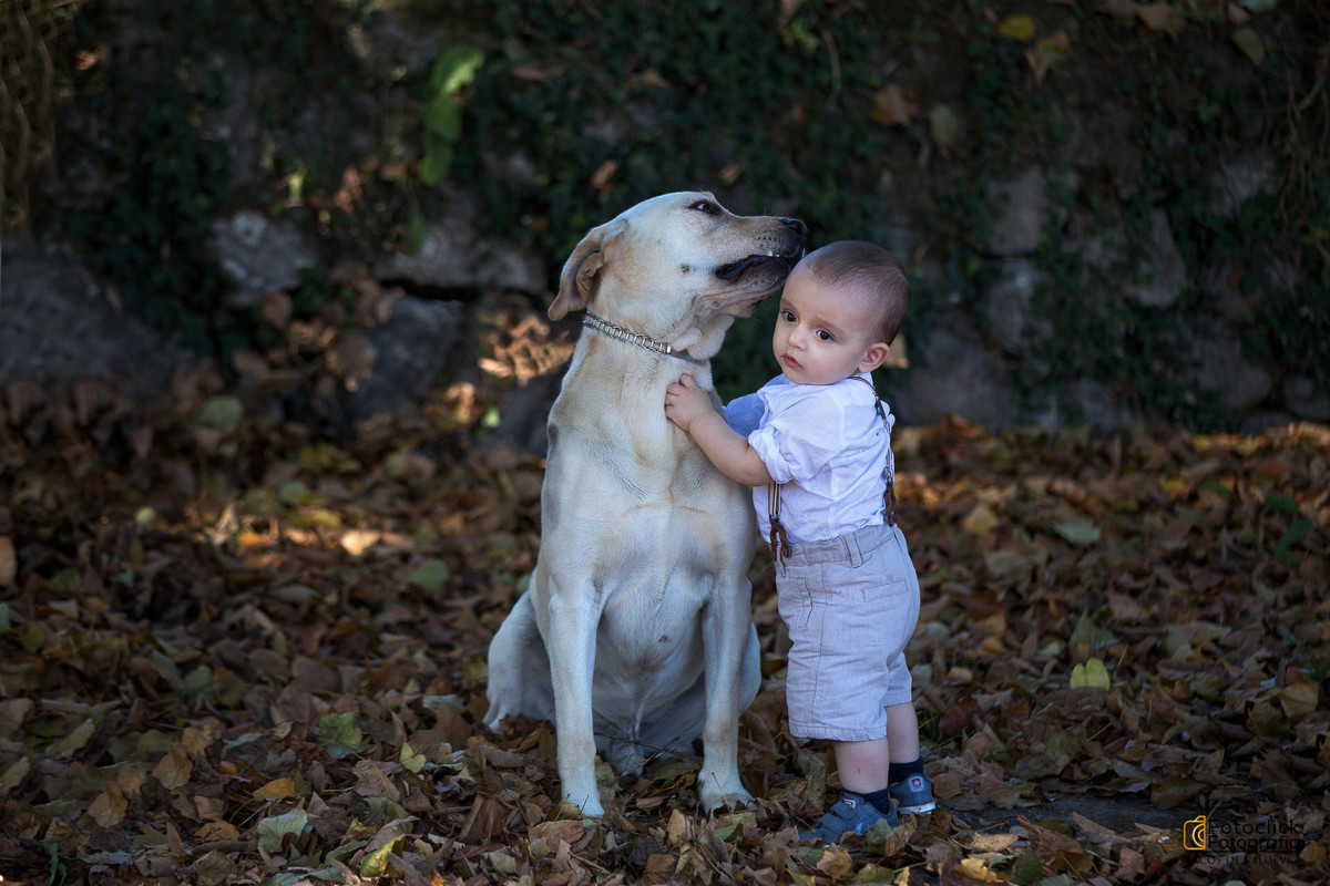 sessão fotográfica bebés